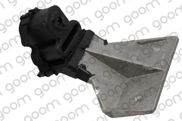 CS0135 Goom