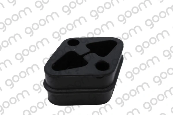 CS0150 Goom