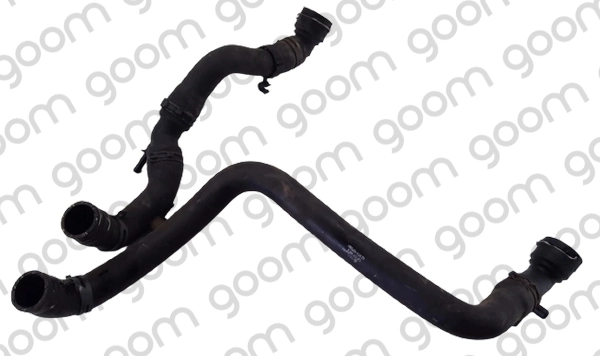 RH0553 Goom