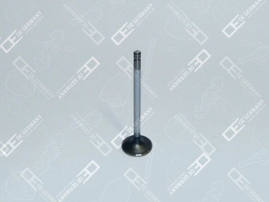 090520ISC600 OE Germany