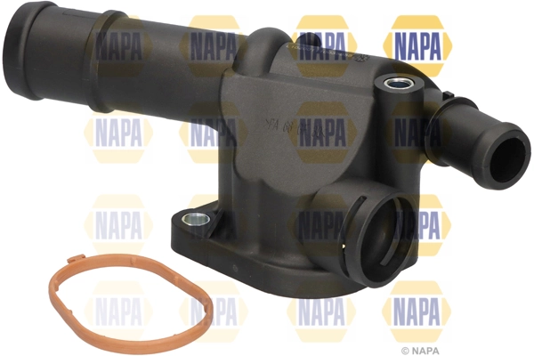 NTH1556 Napa