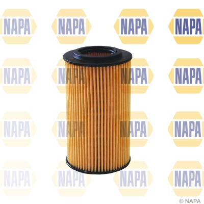 NFO3124 Napa