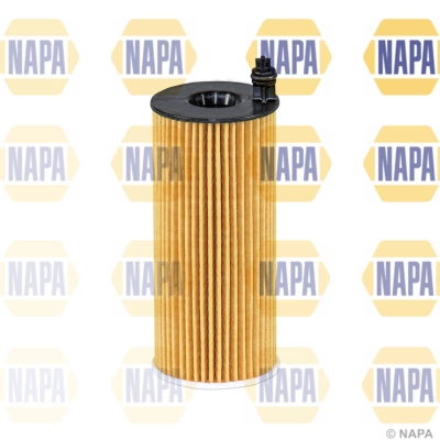 NFO3138 Napa