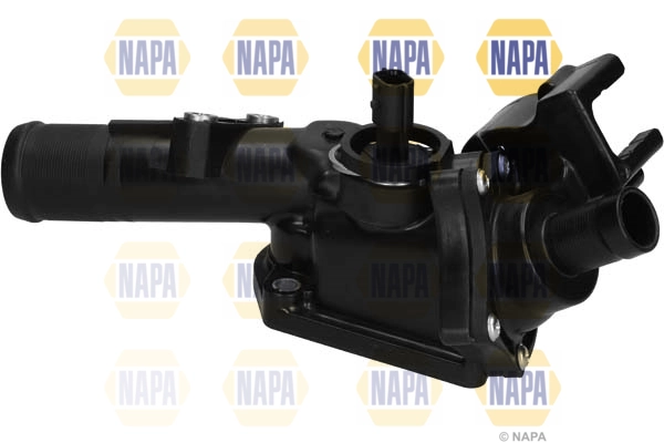 NTH1467 Napa