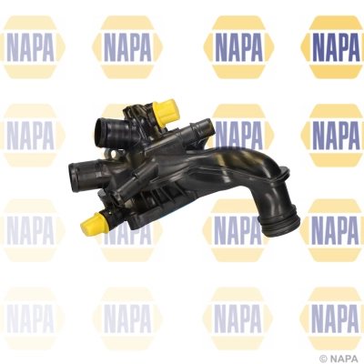 NTH1563 Napa