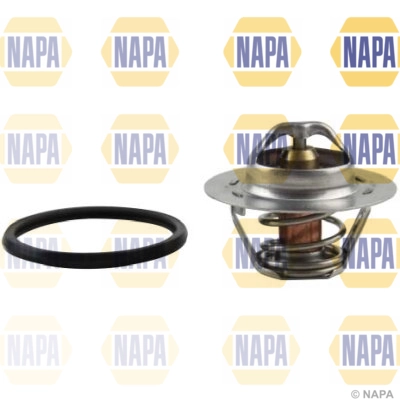 NTH1111 Napa