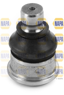 NST0295 Napa
