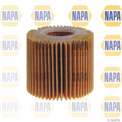 NFO3125 Napa