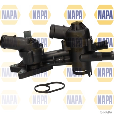 NTH1257 Napa