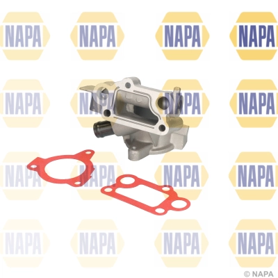 NTH1523 Napa