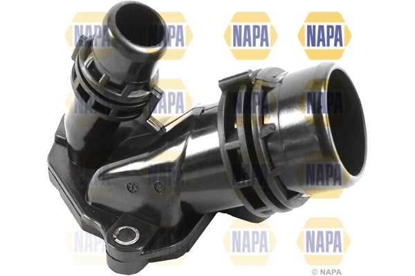 NTH1558 Napa