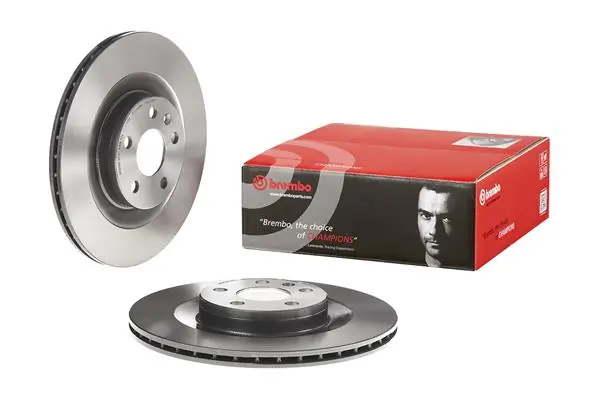 09C93811 Brembo Freno de disco trasero