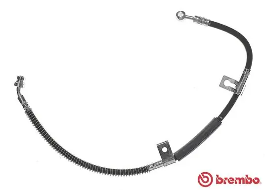 T30099 Brembo