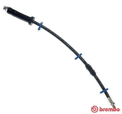 Tubo flexible de frenos delantero Peugeot Boxer (244)