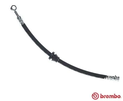 T10018 Brembo