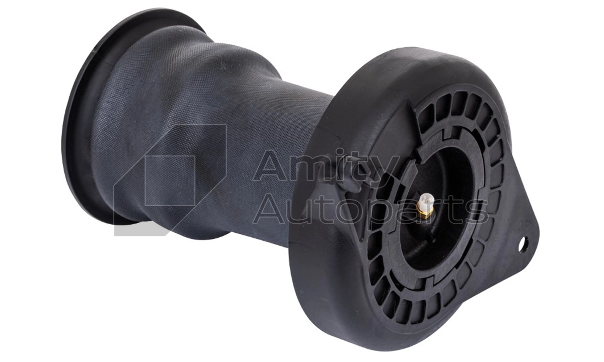 42AS0005 Amity AP