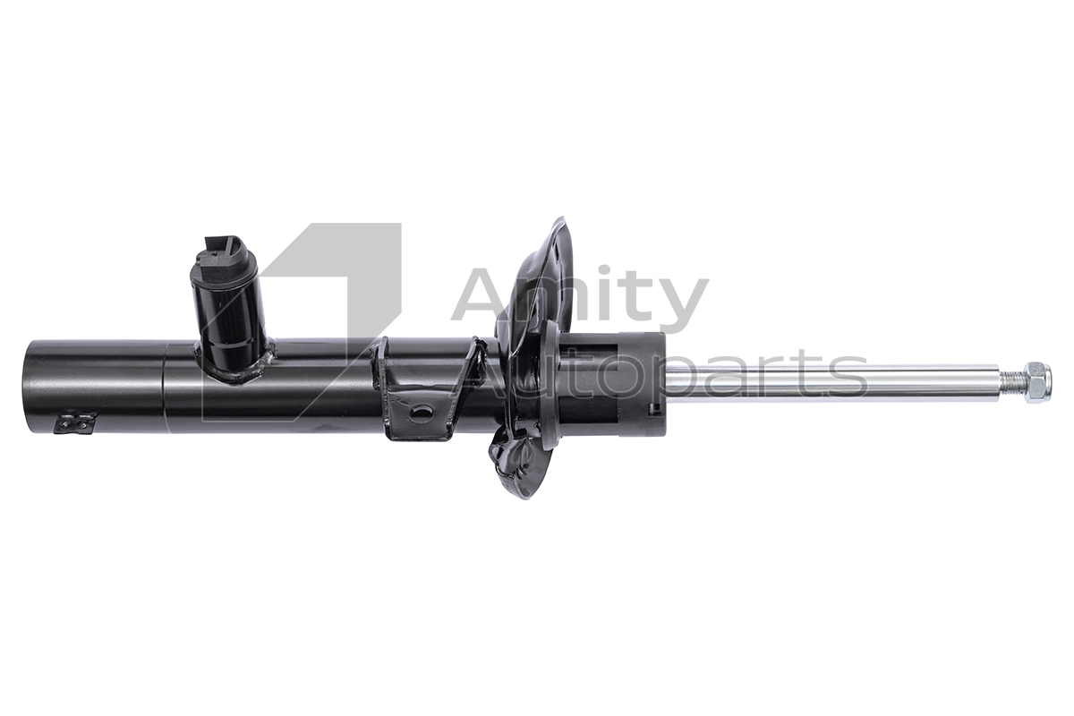 60SS0010 Amity AP