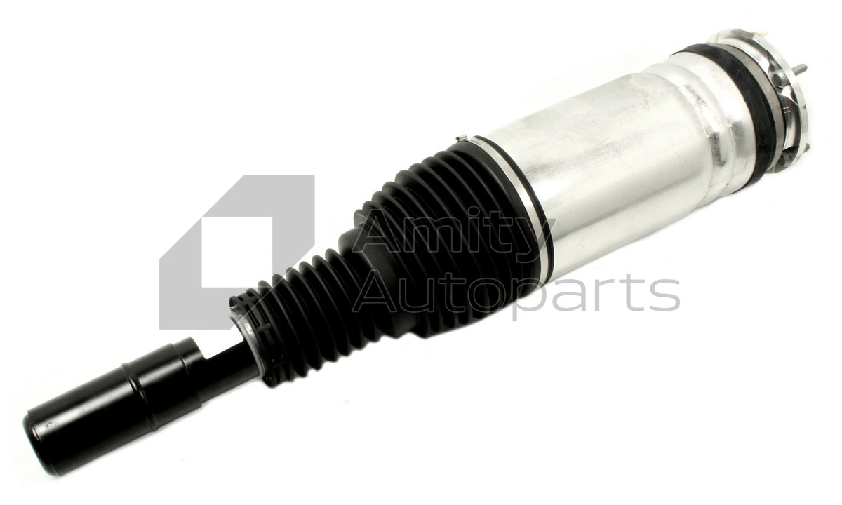 28AS0565 Amity AP