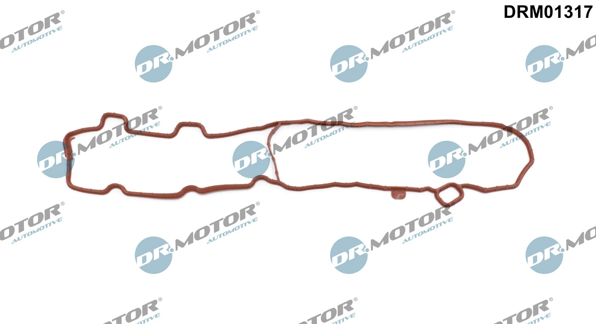 DRM01317 Dr.motor