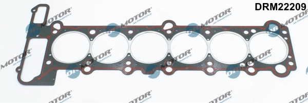 DRM22209 Dr.motor