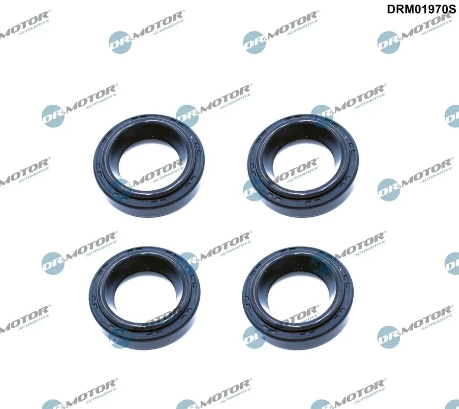 DRM01970S Dr.motor