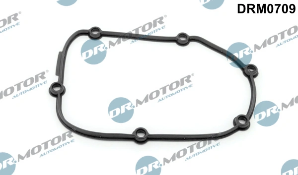 DRM0709 Dr.motor