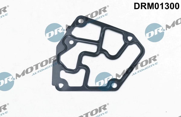 DRM01300 Dr.motor