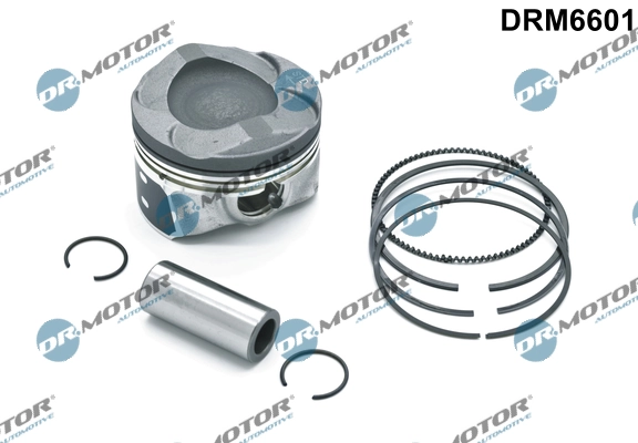 DRM6601 Dr.motor