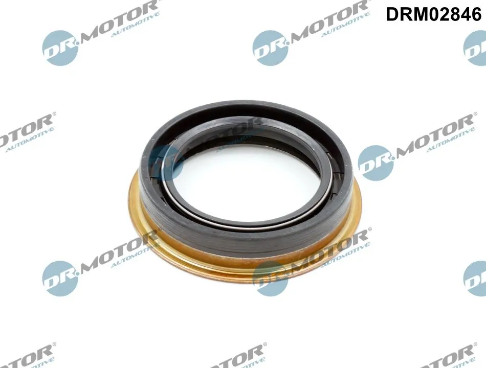 DRM02846 Dr.motor