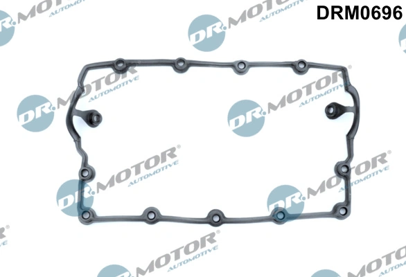 DRM0696 Dr.motor