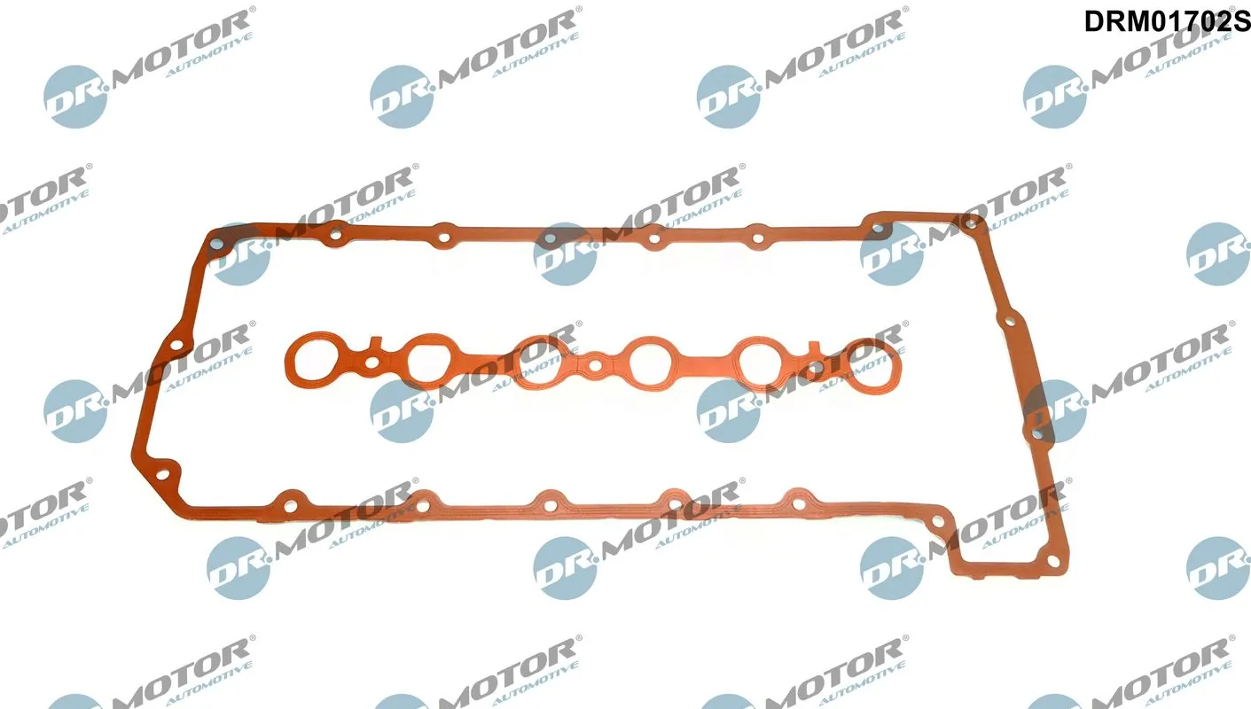 DRM01702S Dr.motor