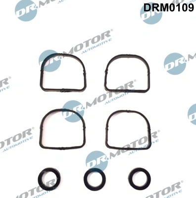 DRM0109 Dr.motor