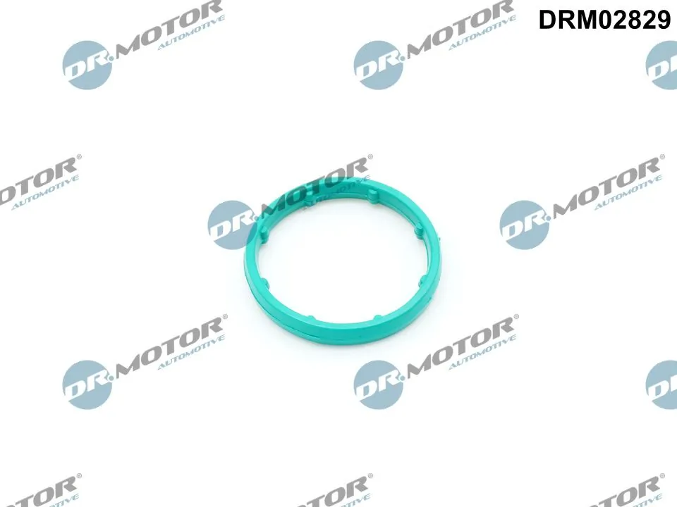 DRM02829 Dr.motor