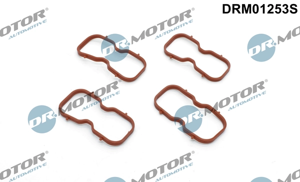 DRM01253S Dr.motor