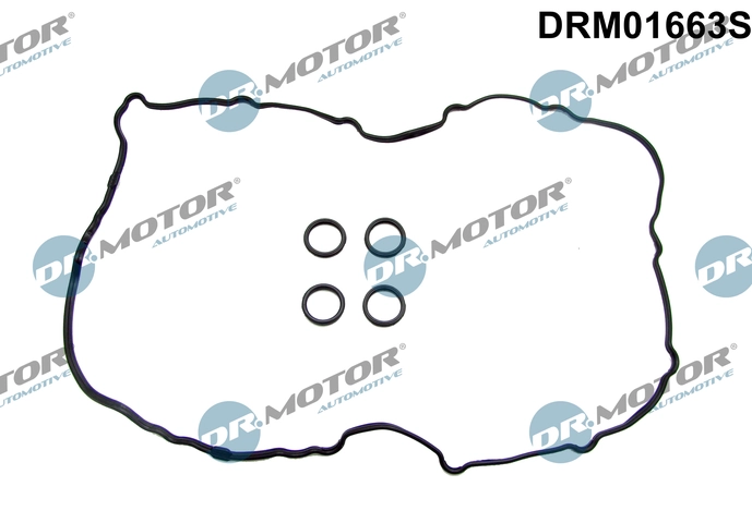 DRM01663S Dr.motor