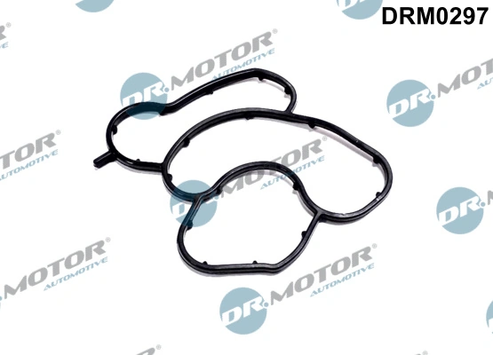 DRM0297 Dr.motor