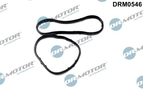 DRM0546 Dr.motor
