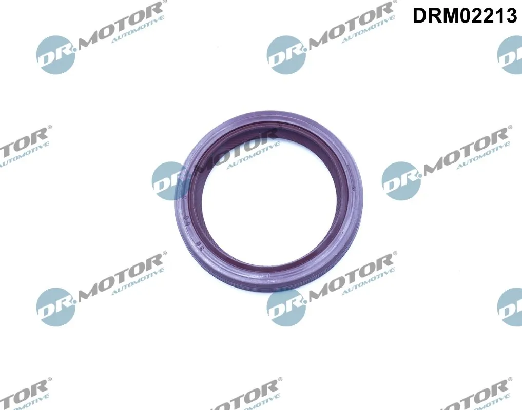 DRM02213 Dr.motor