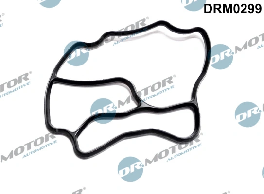 DRM0299 Dr.motor