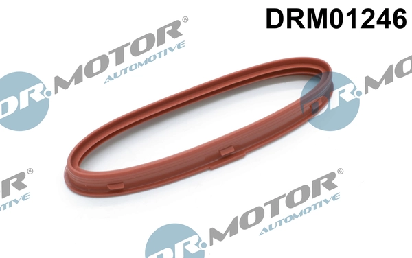 DRM01246 Dr.motor