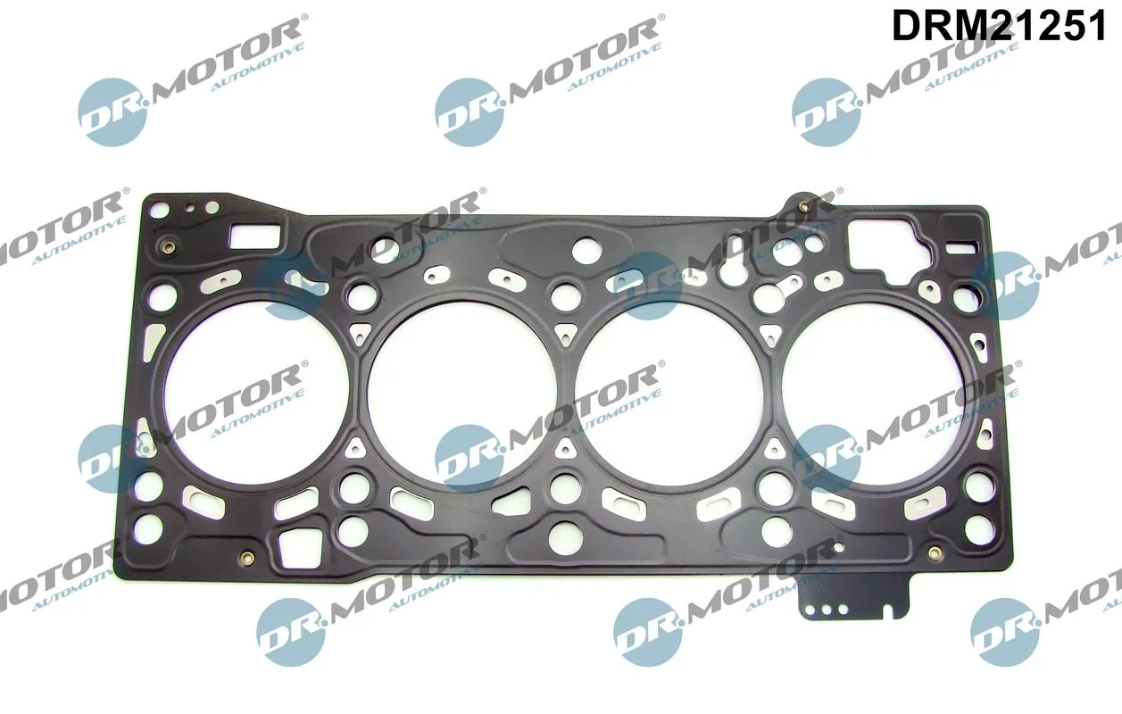 DRM21251 Dr.motor