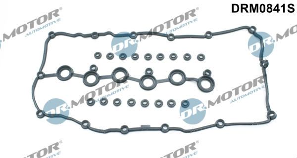 DRM0841S Dr.motor