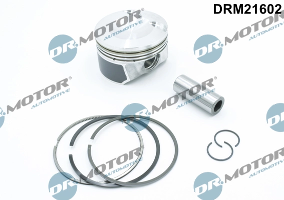 DRM21602 Dr.motor