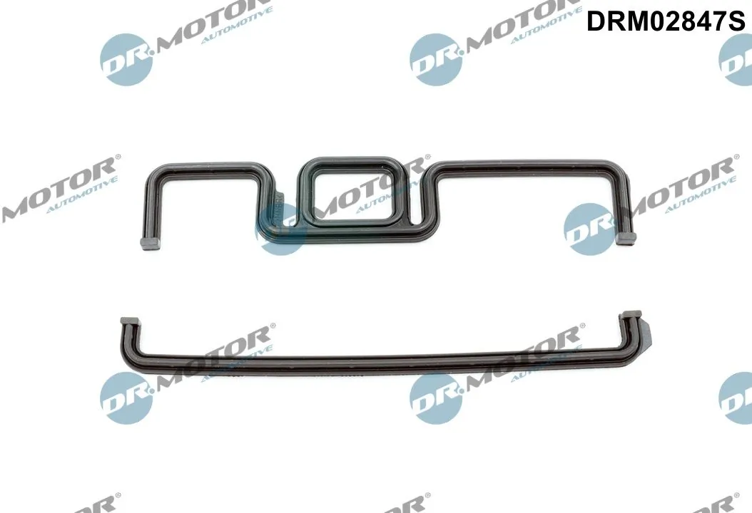DRM02847S Dr.motor