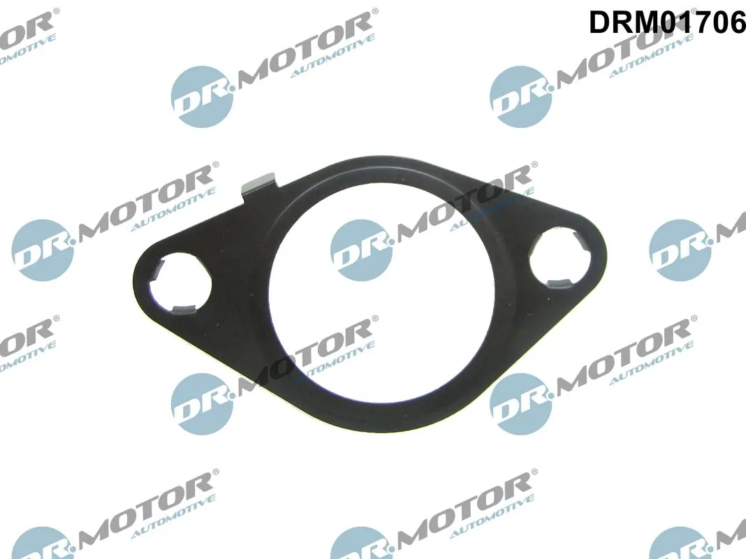 DRM01706 Dr.motor