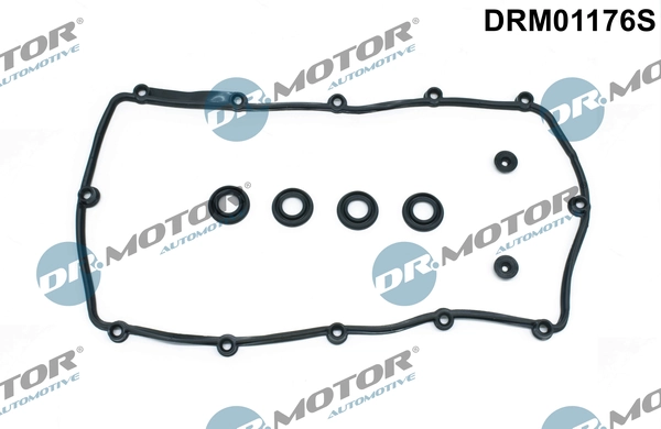 DRM01176S Dr.motor