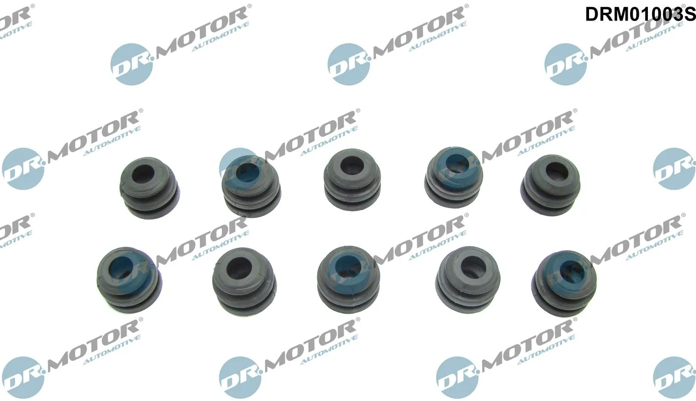 DRM01003S Dr.motor