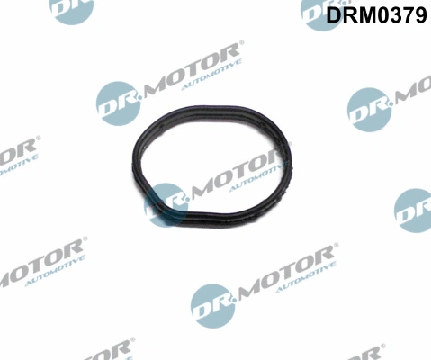 DRM0379 Dr.motor