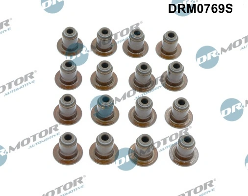 DRM0769S Dr.motor