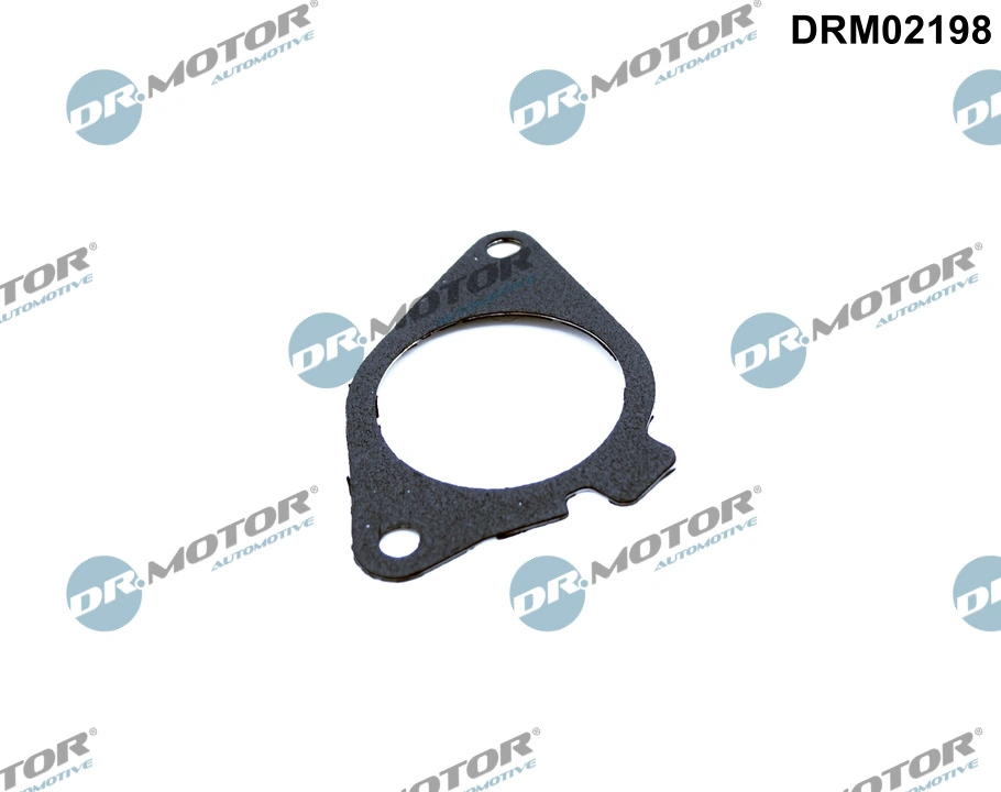 DRM02198 Dr.motor